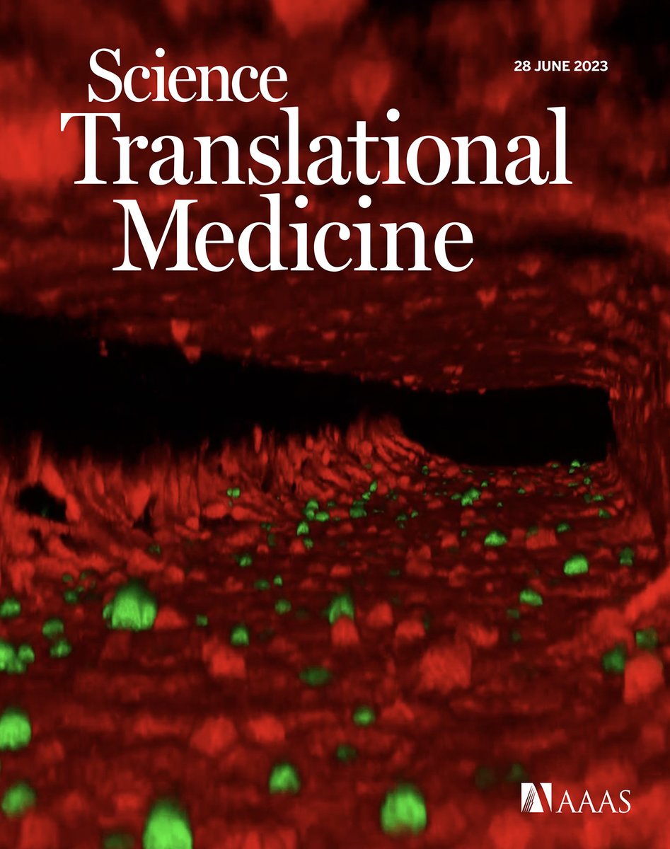 Science Translational Medicine tweet media