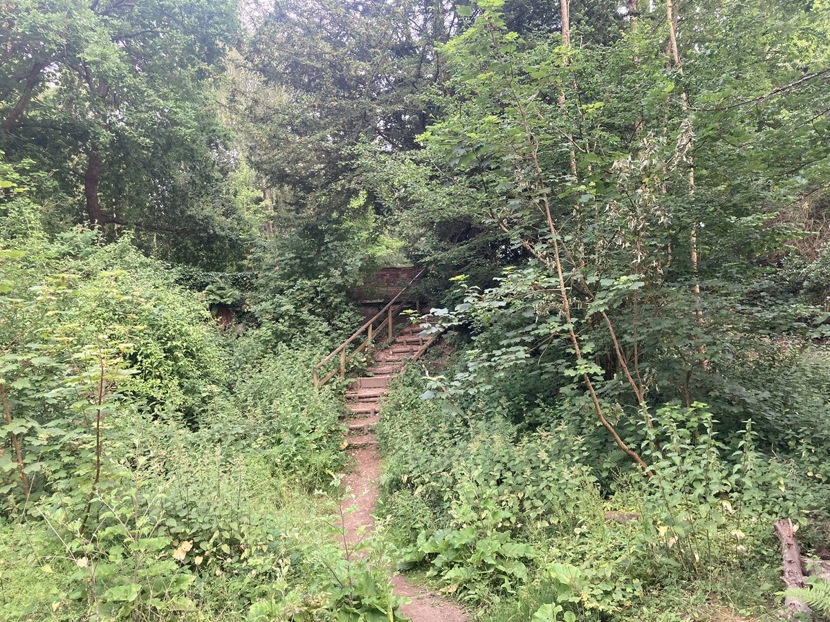 OwlsmoorPrimary's tweet photo. Late night walk tonight looking into the history of High Ashurst. Including a visit into the mansions cellar! ✨ https://t.co/p2fCvtTb2P