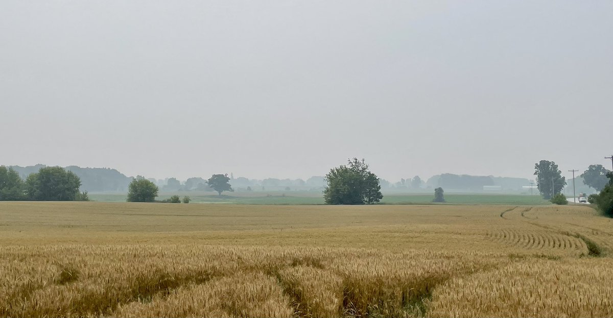 dear canada:
while we appreciate your generous spirit, we regret to inform you that we would like to return the gift of abundant smoke you have sent us.

sincerely,
the midwest