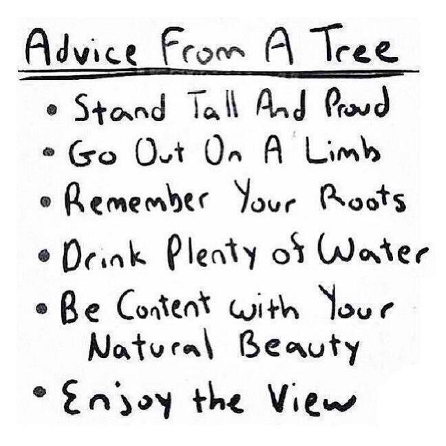 VIS001's tweet image. 