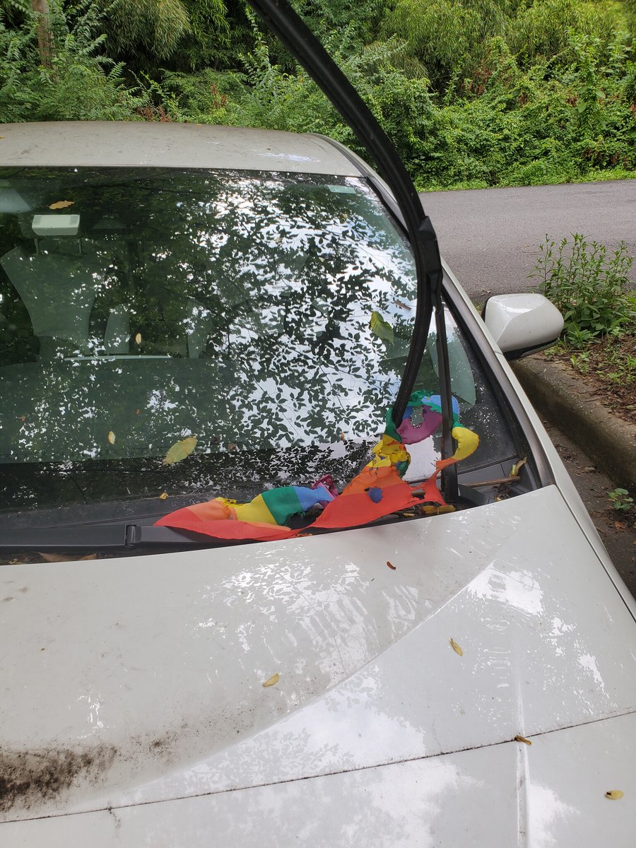 AlanBowser's tweet photo. Our neighborhoods in east Silver Spring were targeted in the early morning hours with vandalism and anti  LGBTQ+ hate. We are outraged and working with law enforcement to identify and apprehend the criminals who tore down flags, defaced them and burned them.
#moco #silverspring https://t.co/eDl7qi9uxE