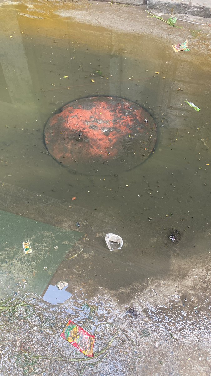 HafsaKmk's tweet photo. Poor severage and sanitation system in Lahore during Eid days.

No action taken by WASA yet. 

@CMShehbaz please take an action https://t.co/2pIikT9Glk
