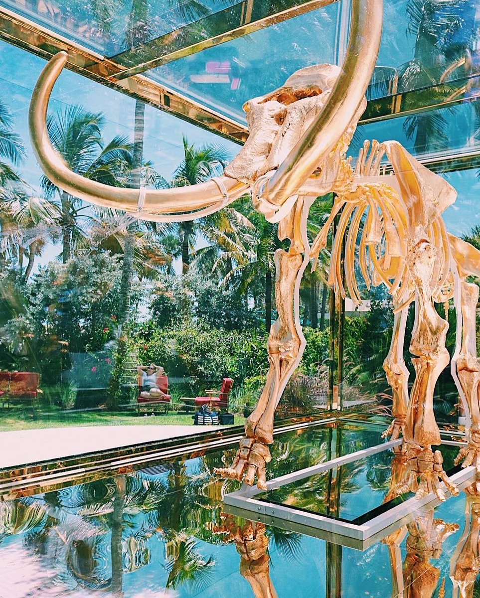 A new set of gold standards.. ✨⁠
"The primary emotion an aesthetically minded person experiences at Faena is joy. The place is a visual delight in the etymological sense—bringing the light; shining sunshine and bliss over everything."⁠
-FORBES⁠
 #📷 Photo by: @shamir_baluja