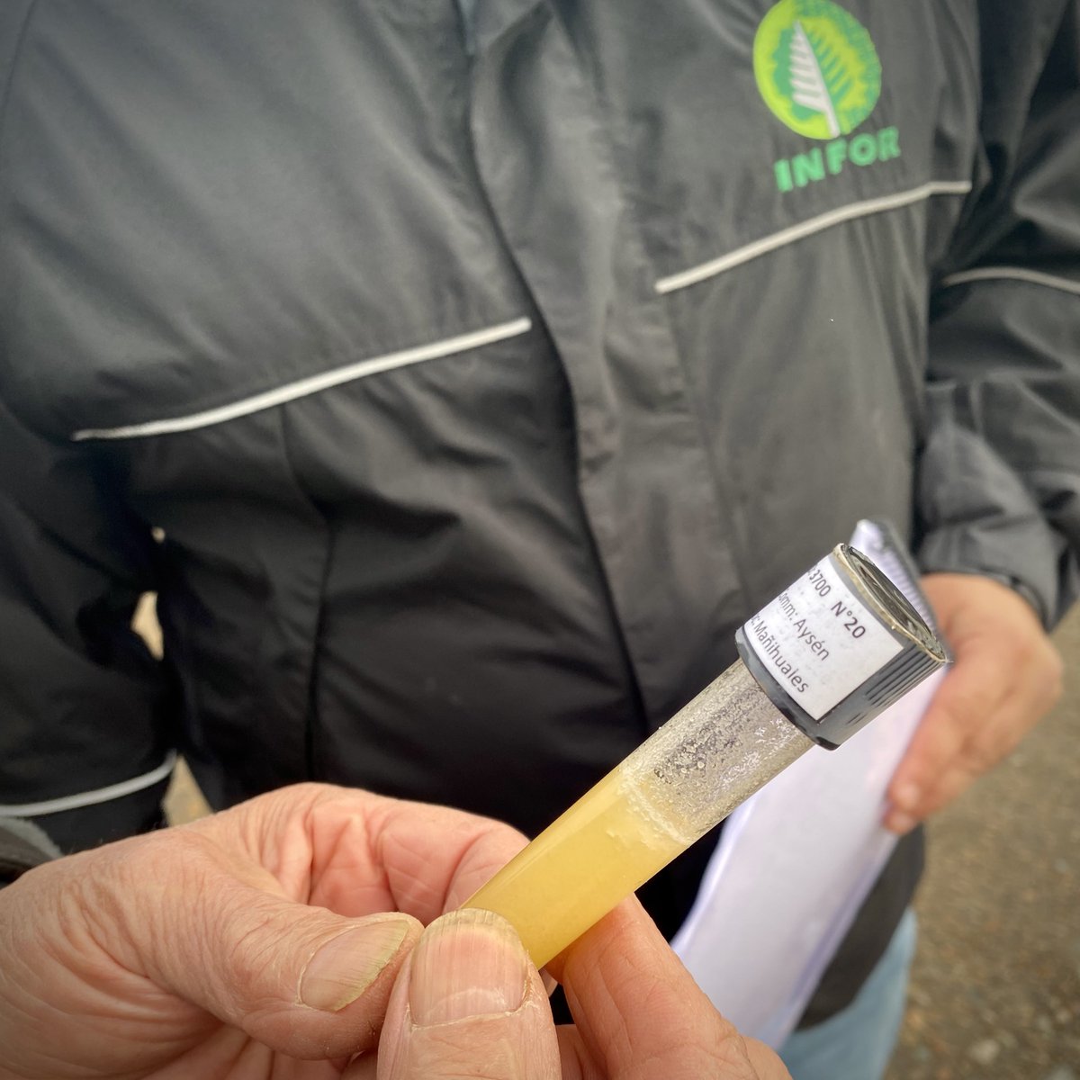 🍯🐝 Los apicultores de #Mañihuales Hugo Asencio y Víctor Schwenke, fueron parte del estudio "Caracterización de las Mieles de Aysén", realizado por INFOR Patagonia y financiado por @fia_chile 
Hoy recibieron oficialmente los resultados del análisis de sus mieles.