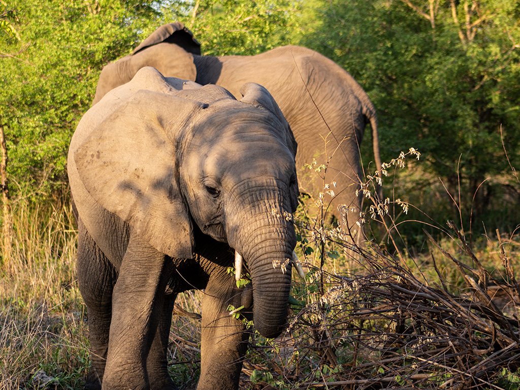 Thompsons Holidays tweet media