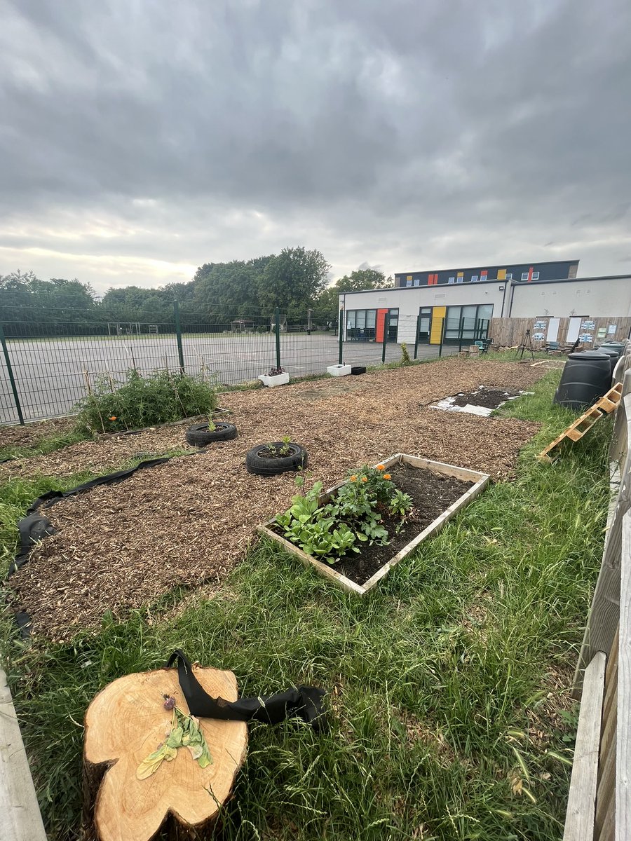 Lots of hard work going on in the eco garden today we have nearly laid weed repressing liner and mulch all around the site and a great idea by a Yr 8 student to use old bricks to line our no dig beds.