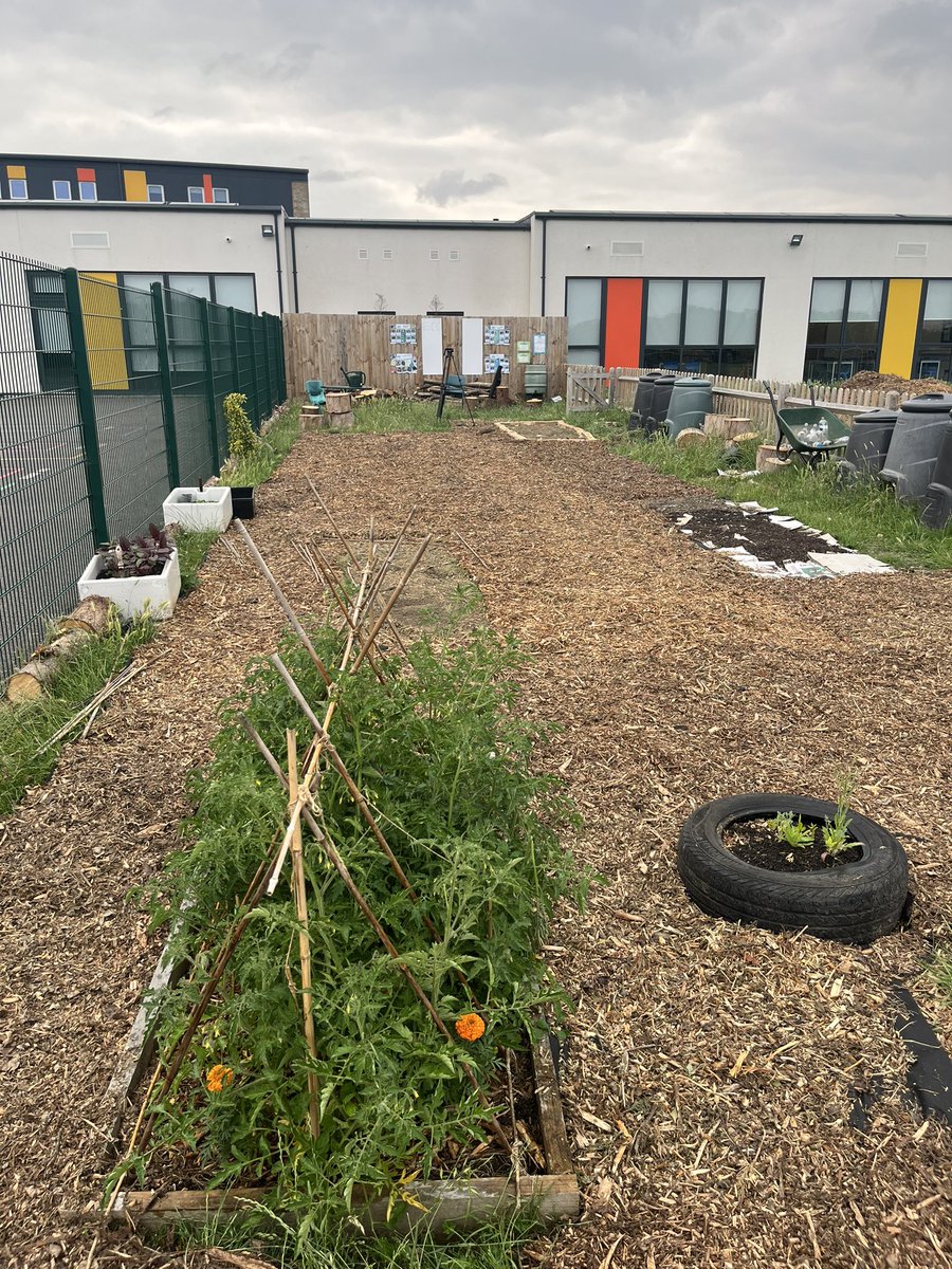 SRAecoschools on Twitter "Lots of hard work going on in the eco garden