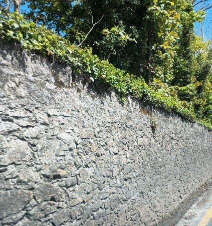 BekkaPrewitt's tweet photo. Had the Craic in Ireland! Random pictures of awesome things! Melancholy to leave.🌼 Could live there. Check out how narrow these Irish roads are!😳😰
@prewitt_l
Celtic Quest:🇮🇪🏴
#ireland #irish #irishlass #redheads #gingers #momdaughter #Irishroads #travel #Craic #iloveireland https://t.co/sqFtsW8UVG