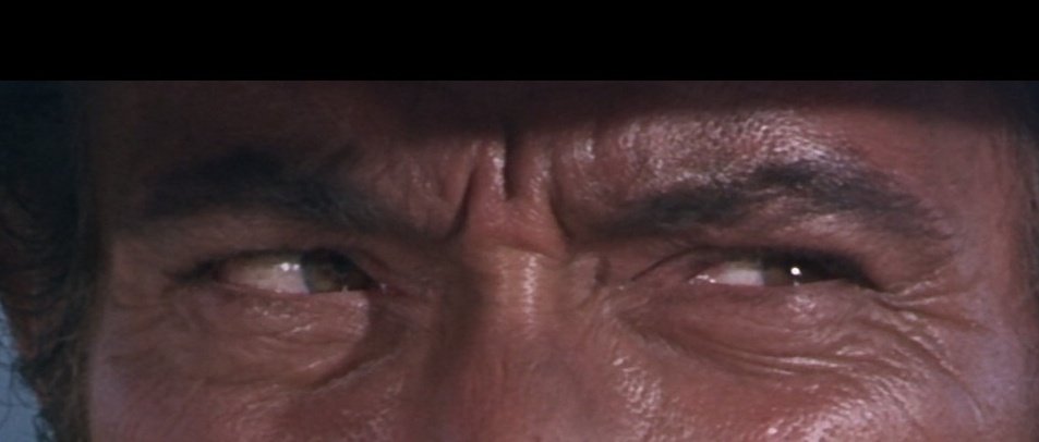 Si reconoces esta mirada...
Estás en mi equipo.
Pista: Año 1966