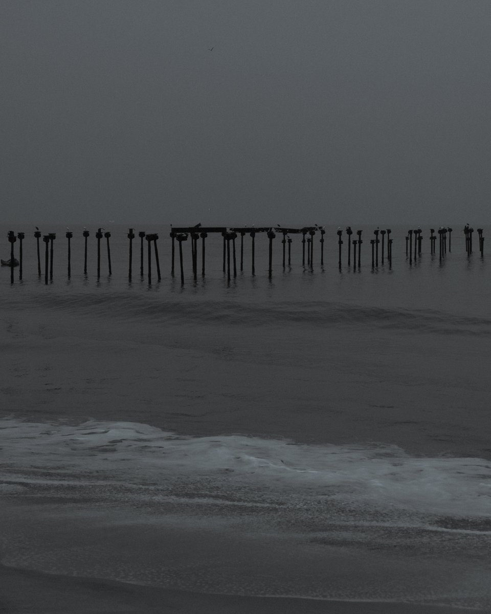 3rd Tone tweet media