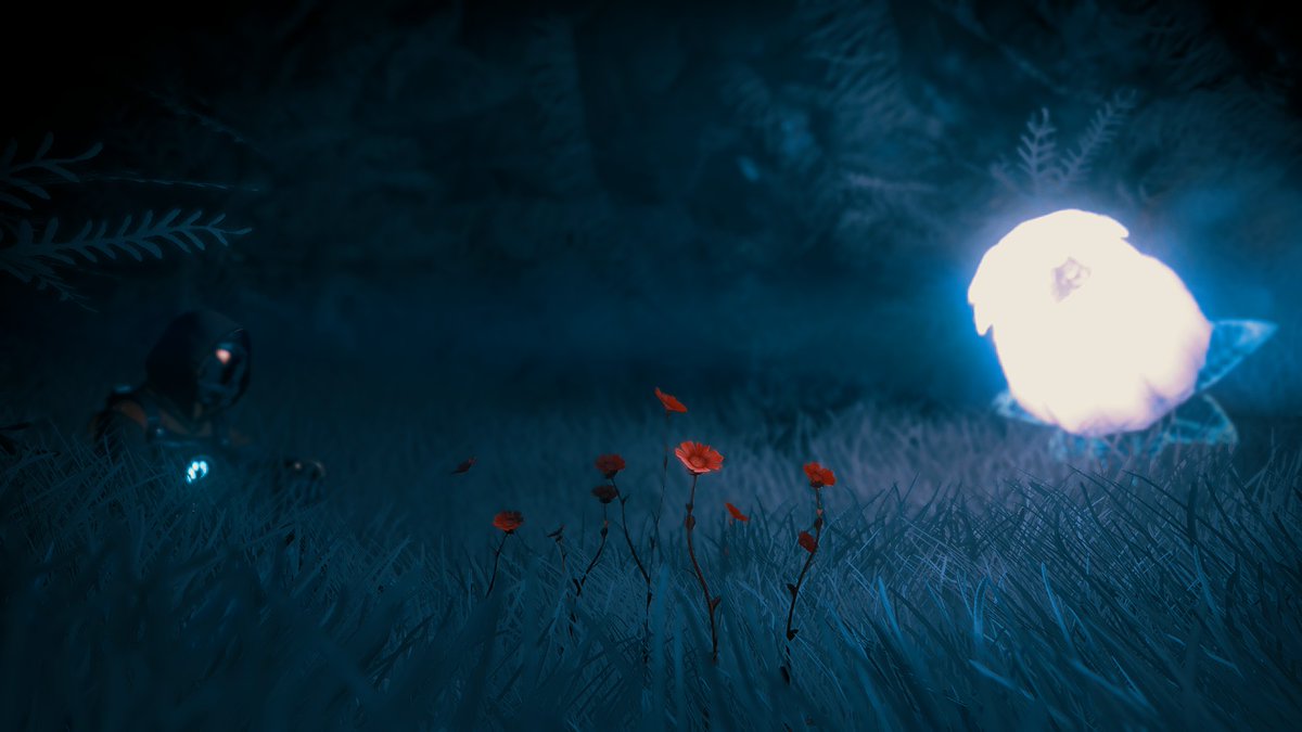 Flowers - Blue
#VirtualPhotography #NoMansSky