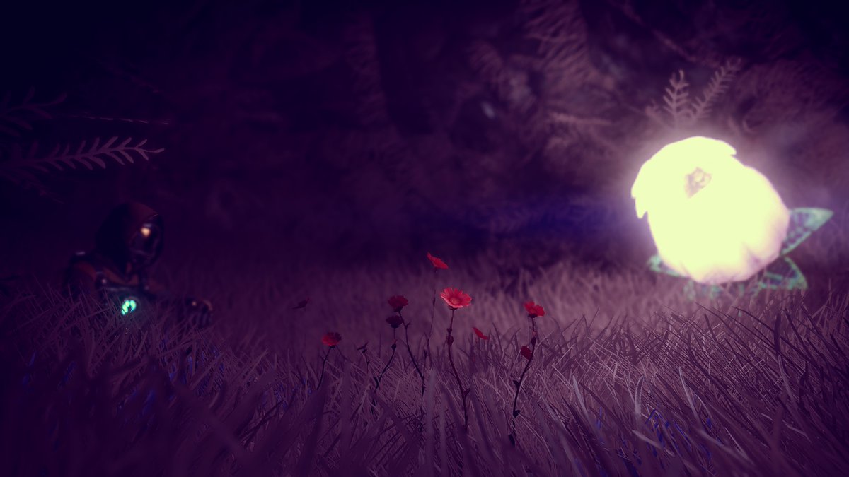 Flowers - Red
#VirtualPhotography #NoMansSky