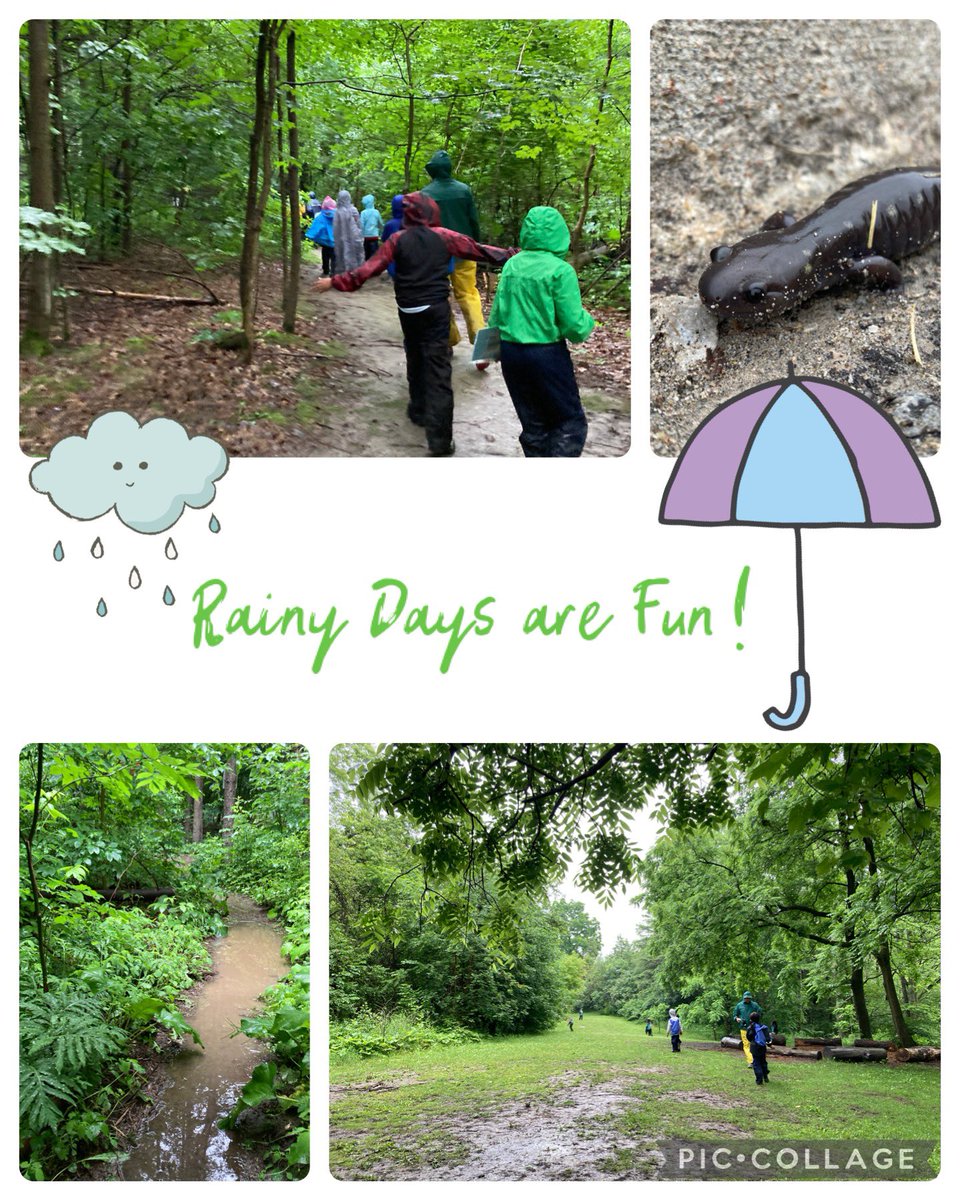Swan Lake Outdoor Ed (@swanlakeoe) on Twitter photo Thank-you <a href="/bayviewglenps1/">Bayview Glen P.S.</a> for embracing the rainy weather this week! It was super fun to discover the many amphibians that made an appearance and to splash in puddles along the trail! Thank-you <a href="/bayviewglenps1/">Bayview Glen P.S.</a> for embracing the rainy weather this week! It was super fun to discover the many amphibians that made an appearance and to splash in puddles along the trail!