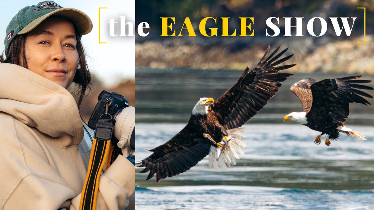 ninadefillaa's tweet photo. EPIC Bald Eagle feeding frenzy in British Columbia, Canada // "the Eagle... https://t.co/1cW0Nnkl1H via @YouTube https://t.co/t3RlZMucez