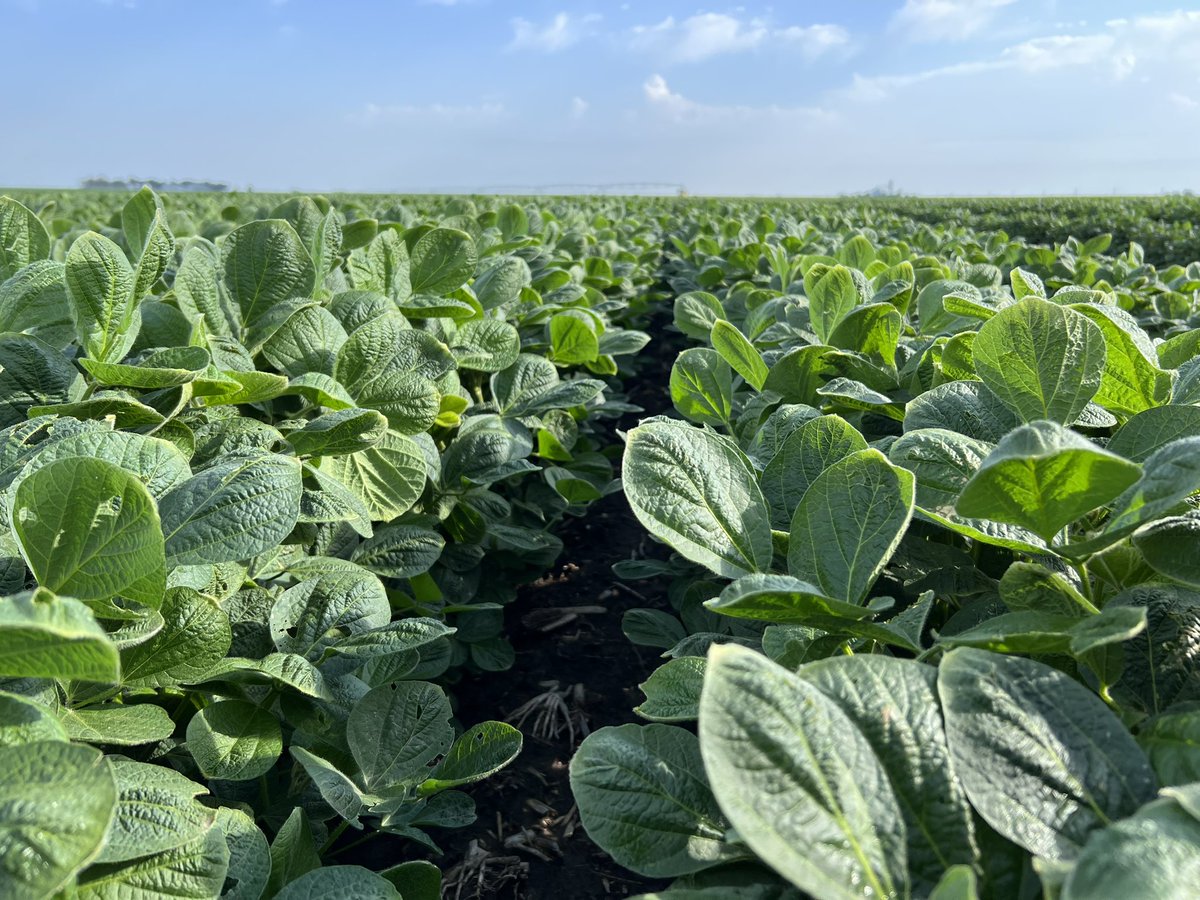 Todd Nitsch tweet media