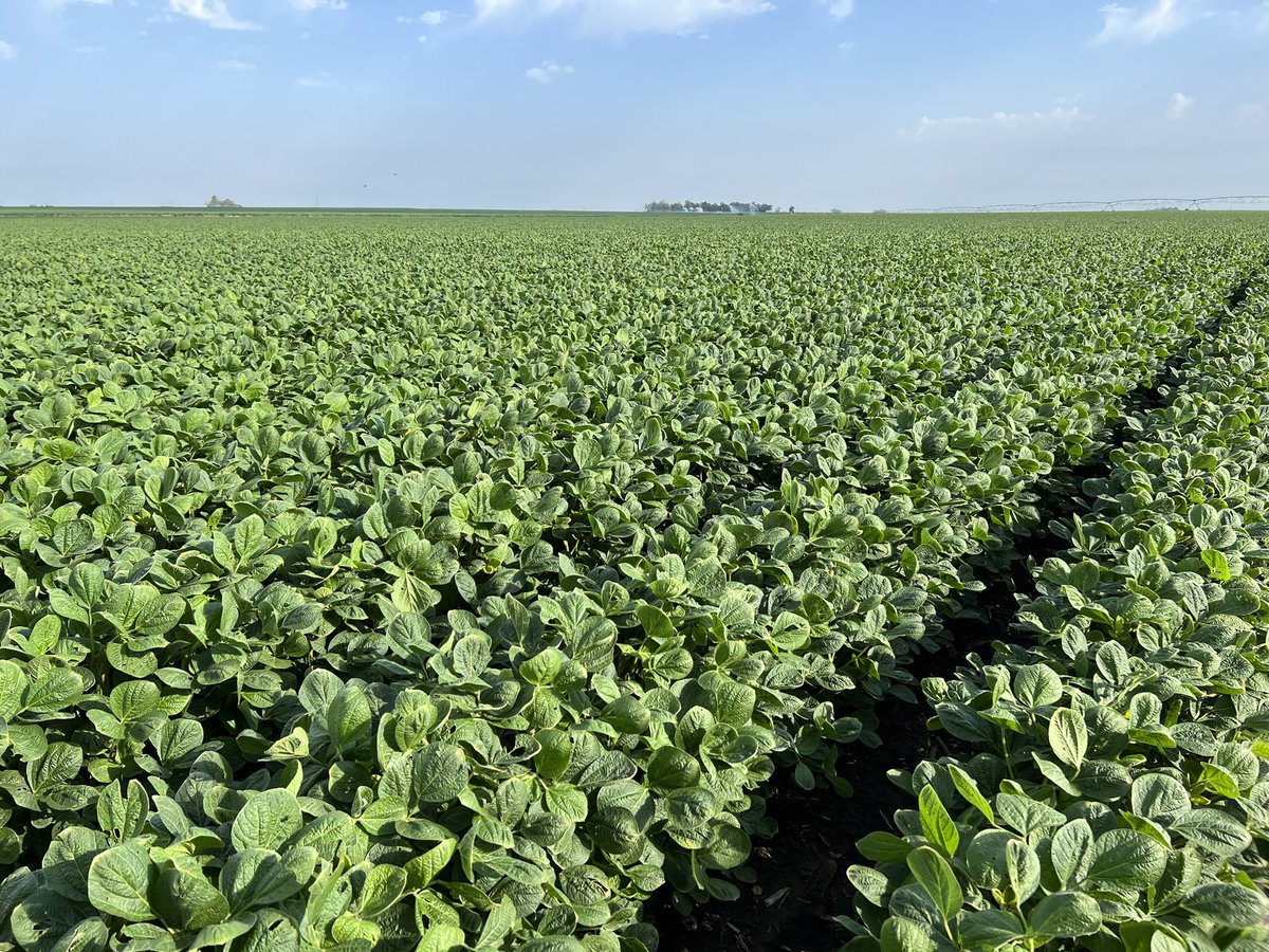 Todd Nitsch tweet media