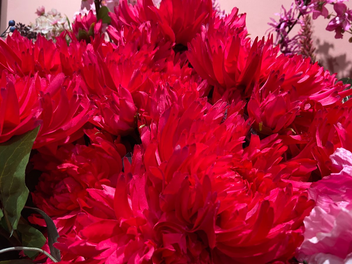 Hortus Flora tweet media