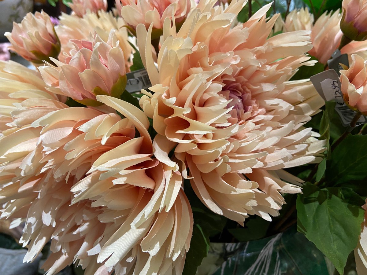 Vandaag weer nieuwe collectie aan zijde binnen gekregen 

#florist #zijdenbloemen #artificialflowers