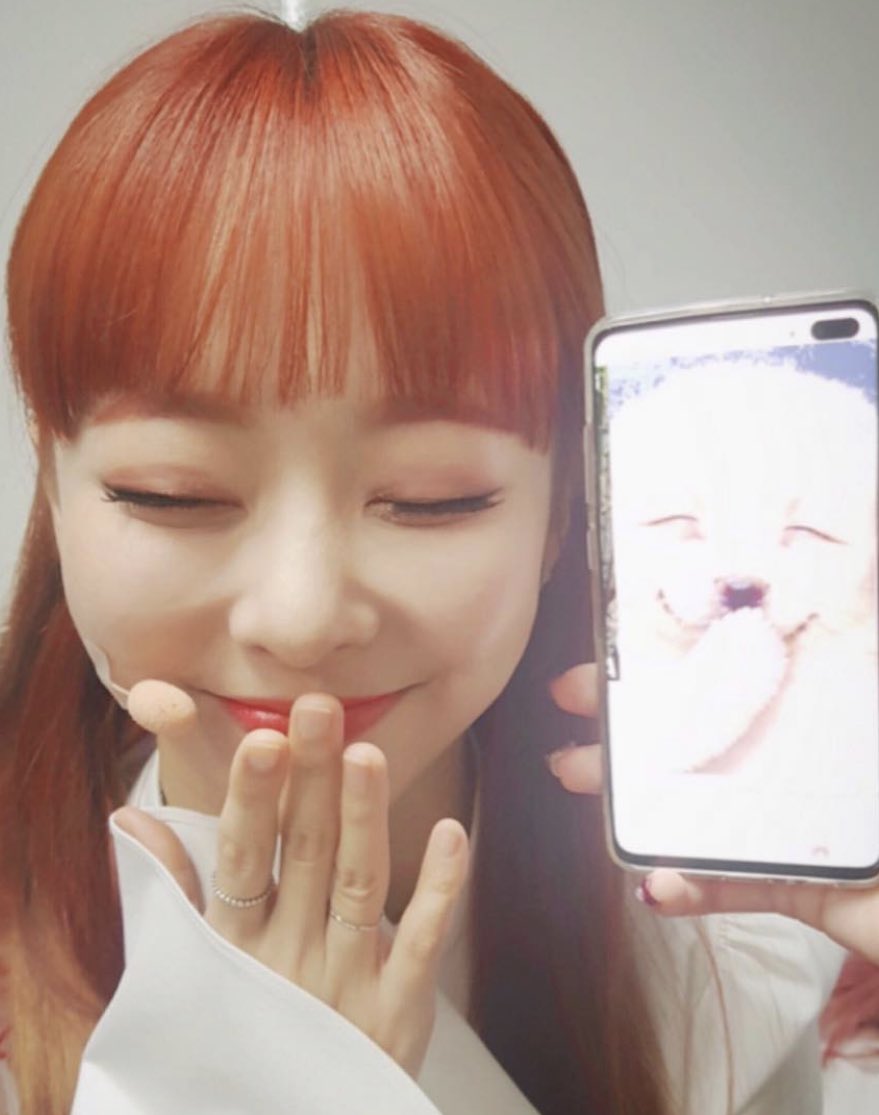 spaceadvntures's tweet photo. @AmazingPhil vivi from loona! https://t.co/3gnQJuj2Nv