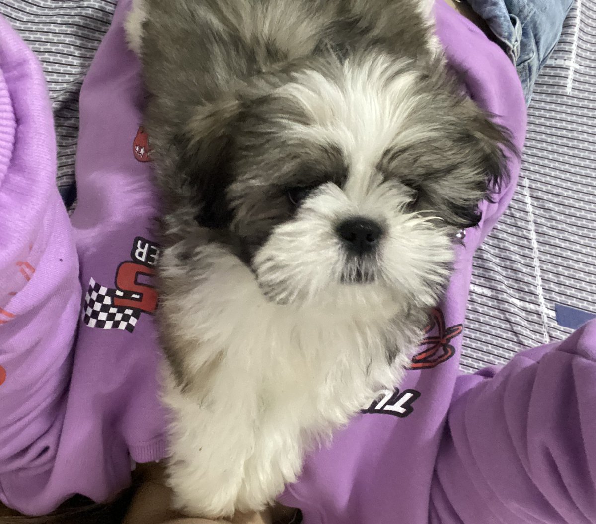 El peor lugar, no lleven a sus mascotas. 0 empatía y comunicación hacia sus clientes… les confié mi perrito, mi compañerito, lo dejaron morir! Ni si quiera me pude despedir de él. 
<a href="/VivireNuevaCba/">VivirenNuevaCórdoba®</a>