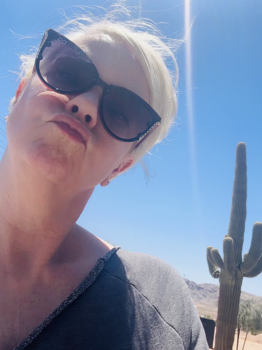 KierstenWarren's tweet photo. If you didn’t forget your sunglasses and then have to break down and buy gas station sunnies did you even go on a road trip? https://t.co/PuEsBsbQD3