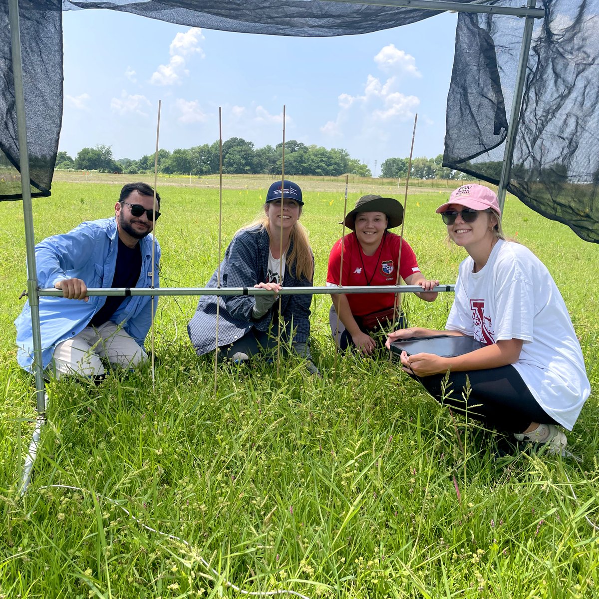 Rachel Woody-Pumford, <a href="/uarkhort/">uarkhorticulture</a> grad student (second from left), gets a hand collecting data on the Milo J Shult Ag Research &amp; Extension Center for a study related to native grasses planted along roadsides. <a href="/AginArk/">UA System Div of Ag</a> <a href="/bumperscollege/">Bumpers College</a> #SouthernAgResearch