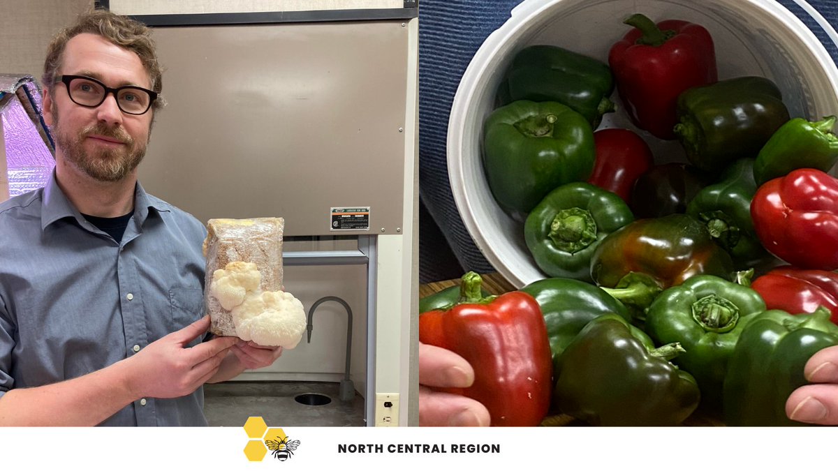 🏆 Congrats to Kyle Tapper, the #F2SBC North Central Pollinator Award recipient! 🌱 Kyle engages Mackenzie Secondary students in indoor hydroponics, soil-based cultivation, and advocates for local food production and education. A true champion of food literacy in #SD57!