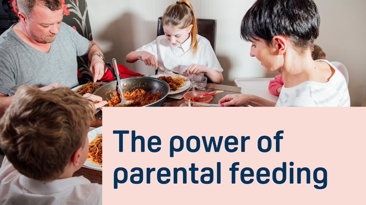 MedResFdn's tweet photo. Dr @mrtzhrl's research showed that interventions to improve the way parents feed their children can reduce the risk of obesity in children. 

With our #ChangingPolicyandPractice funding, the team will update the @ChildFeedGuide to help inform parents: https://t.co/dp8yc2pwGM https://t.co/iPYkDydZmS