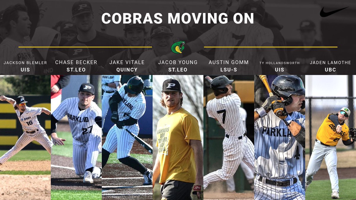 Cobra_Baseball tweet picture