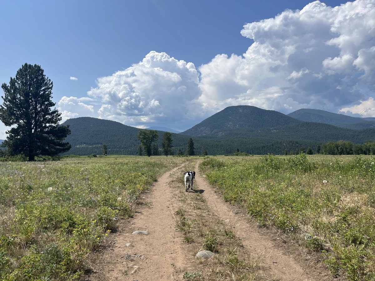 Alannimals tweet media