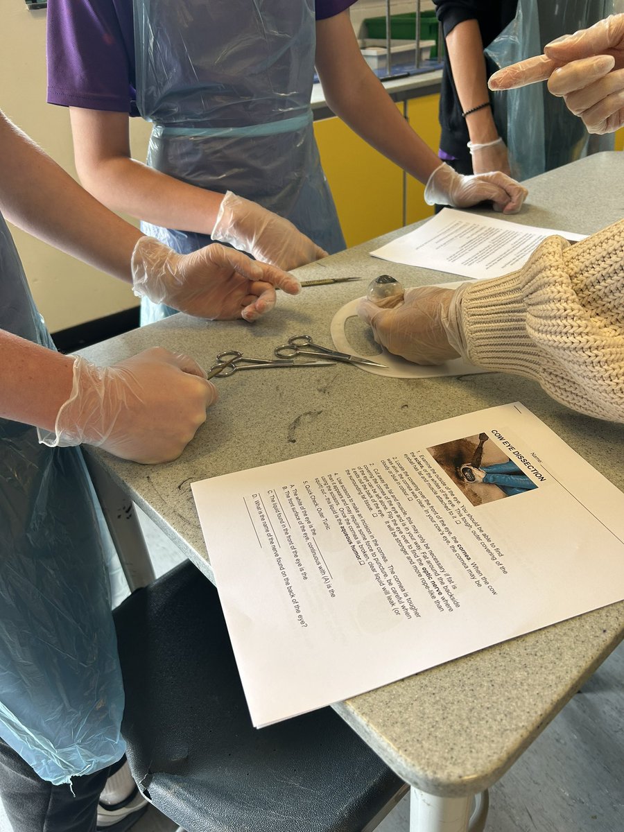 Georgia Wilde tweet media