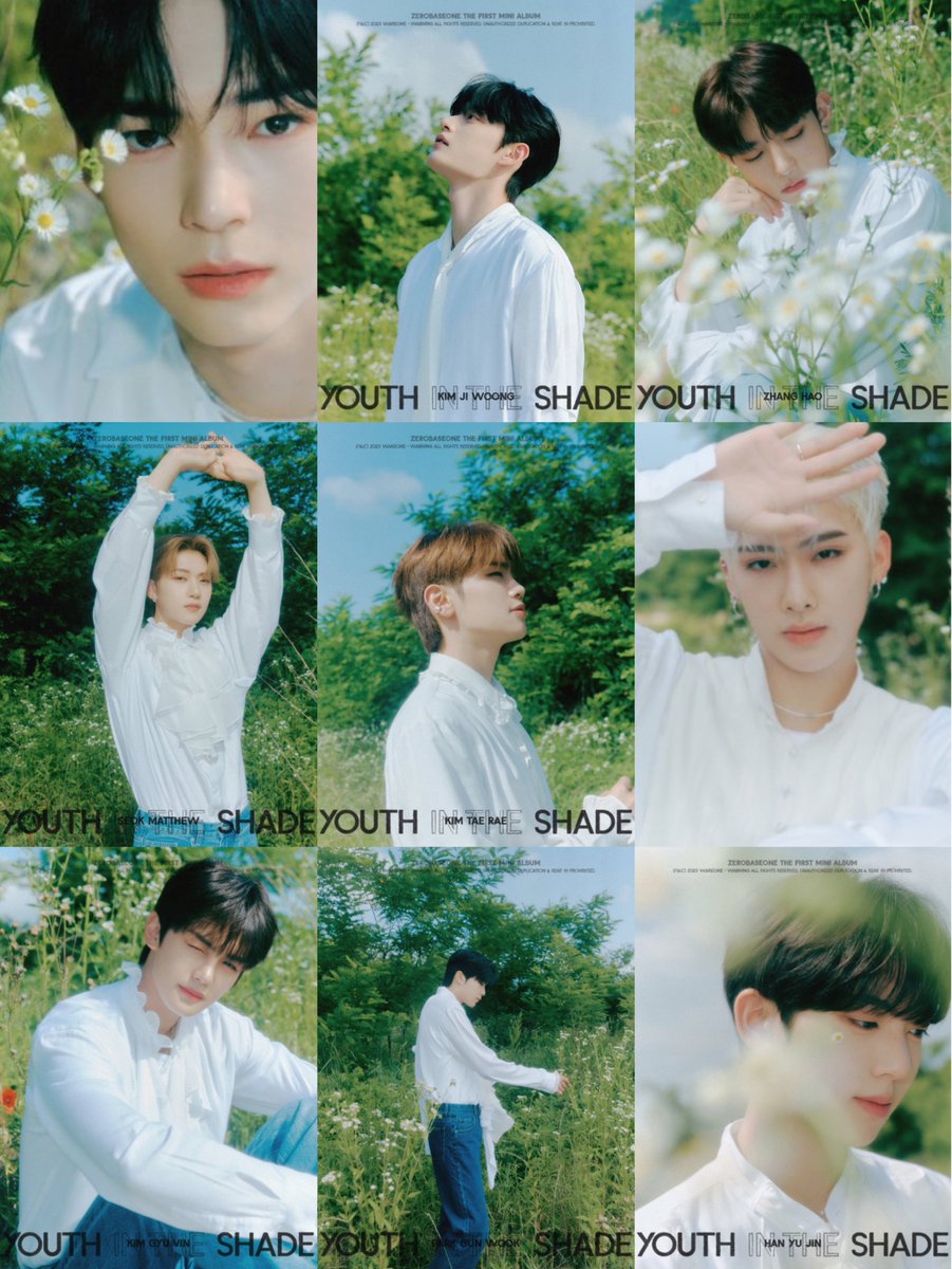 Pop Base tweet media