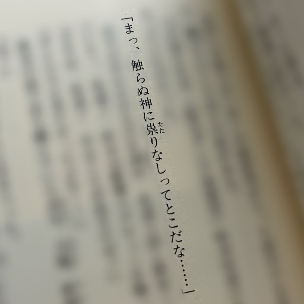 댕냥쓰 tweet media