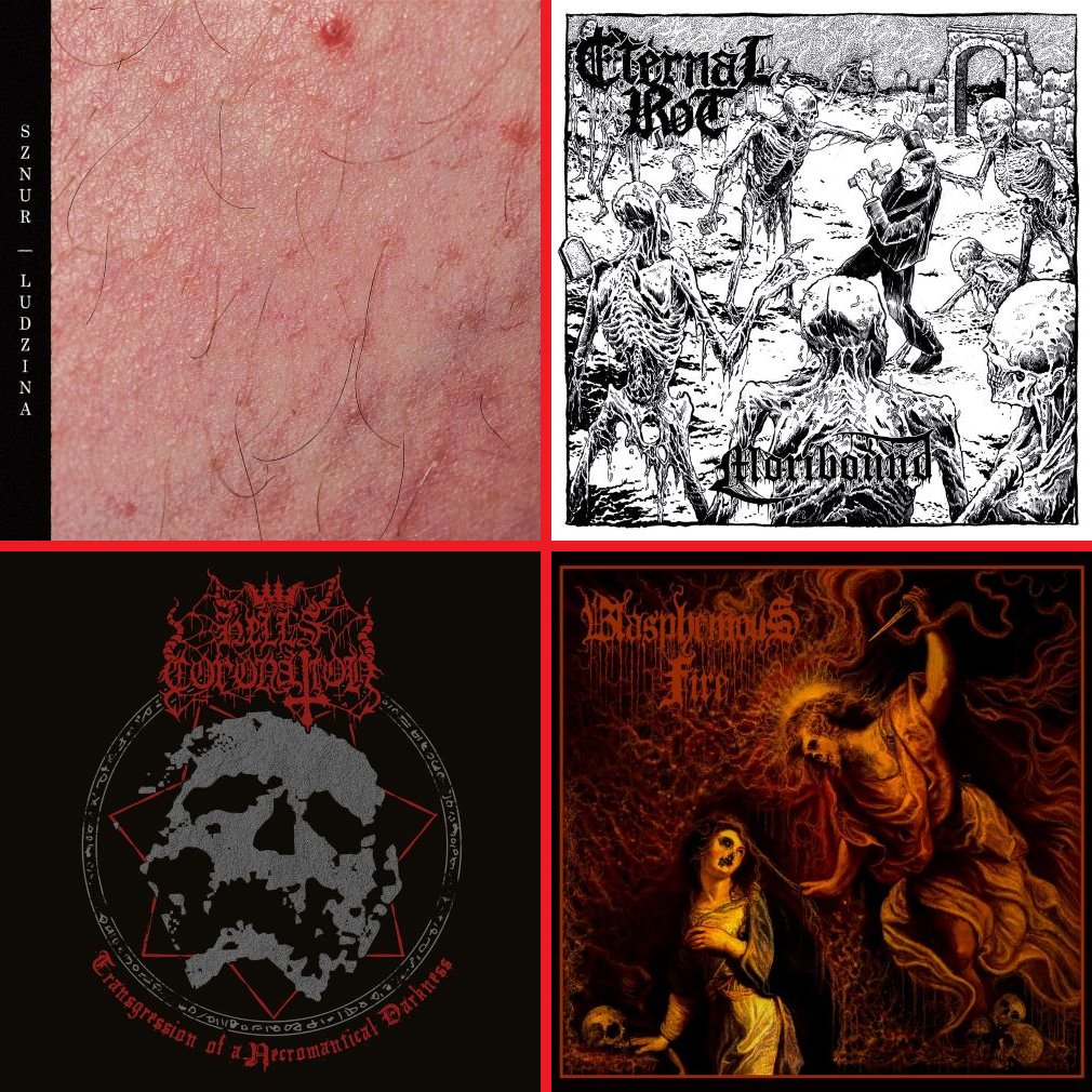 GodzOvWar's tweet photo. Release date - July 24, 2023.
SZNUR β’ ETERNAL ROT β’ HELL'S CORONATION β’ BLASPHEMOUS FIRE
#sznur #eternalrot #hellscoronation #blasphemousfire #newreleases #newalbums #blackmetal #deathmetal #doommetal #godzovwarproductions https://t.co/ScMegS3XBK