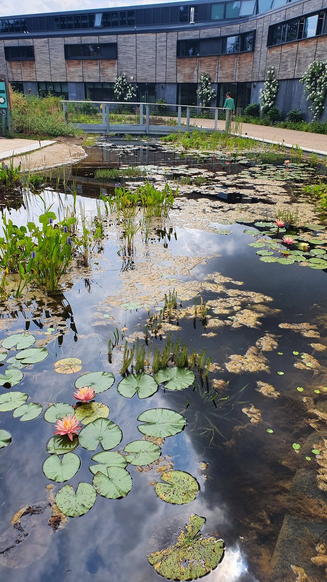 Beth Thomas tweet media