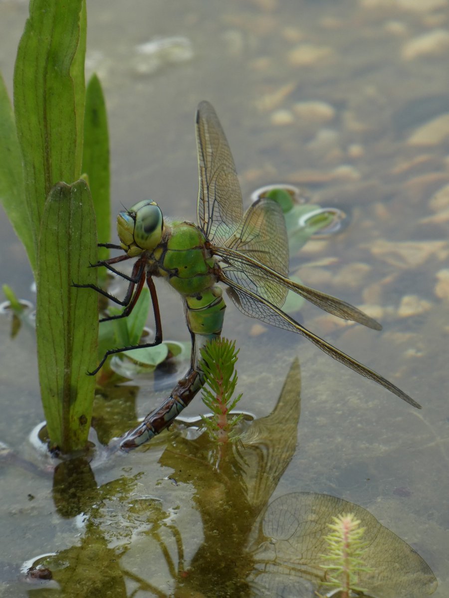 Beth Thomas tweet media