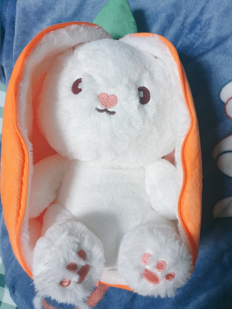 ArieysValentine's tweet photo. @ArielleLeoVT looook loooook carrot bunny! I named her Karrot owo) https://t.co/X4hrufMwkC