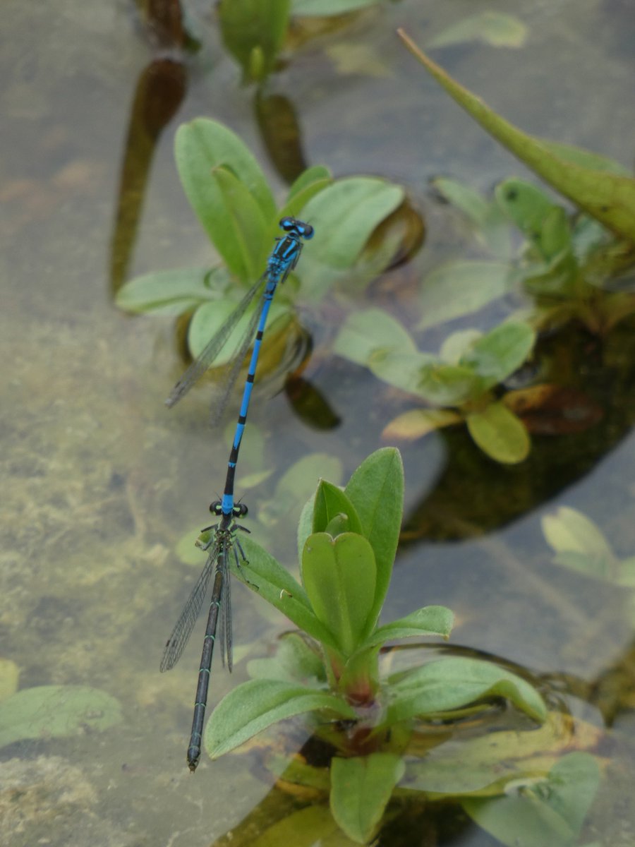 Beth Thomas tweet media