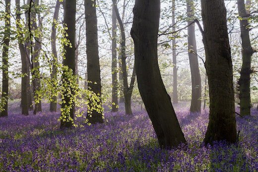 Oh hey another auction?  <a href="/PaulMoonPhotos/">Paul Moon</a> coming for this one buddy!!