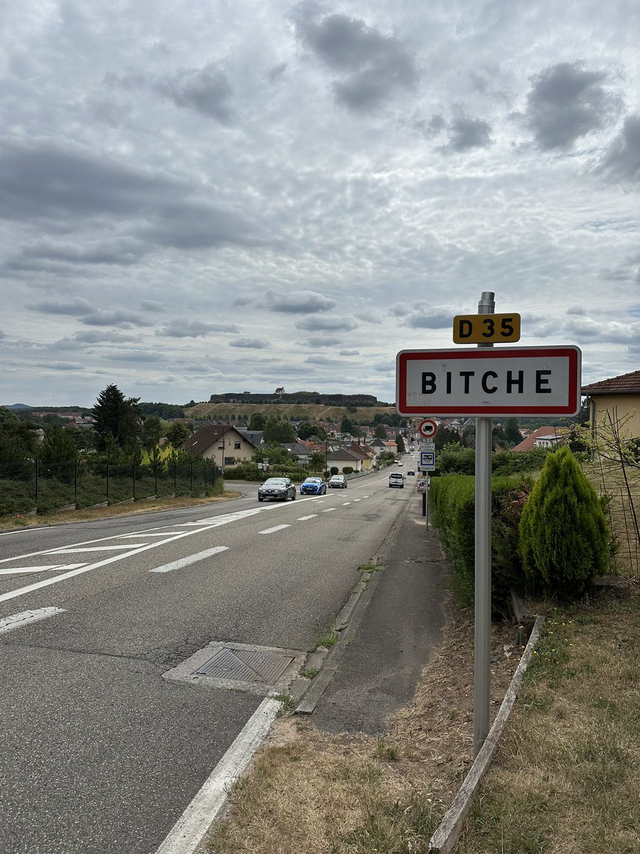 bartdeliefde's tweet image. Hoe noem je de inwoners van Bitche? 🙃 #bitche