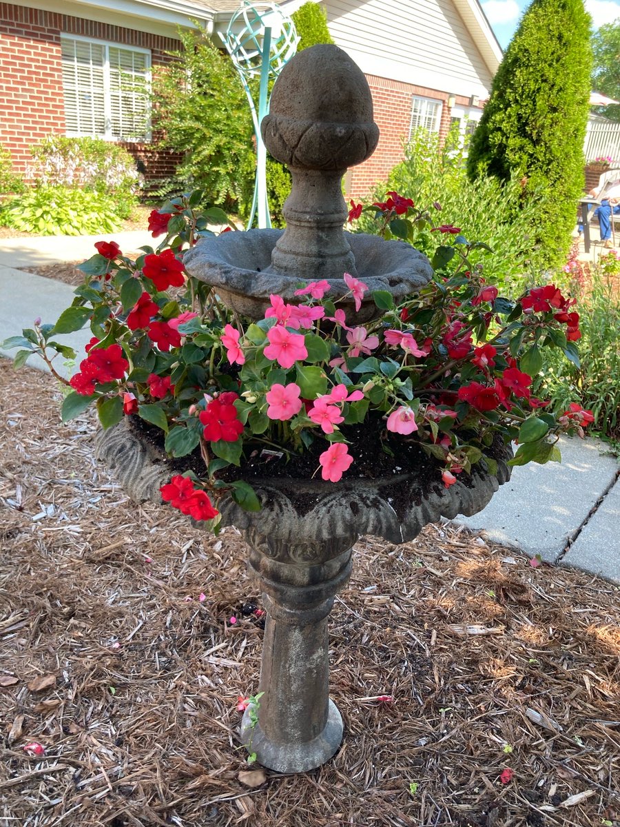 StCharlesHC's tweet photo. We ❤️ Garden Club! There’s something therapeutic about getting our hands in the soil, not to mention how beautiful the flowers make the campus look! 🌸🌷🌺
#whyitrilogy #campusincolor https://t.co/2dMM19rzrk