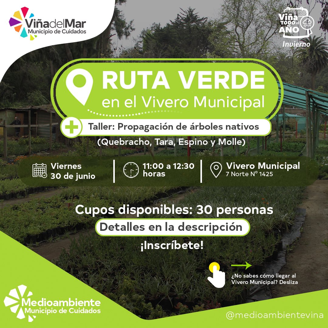 Medio Ambiente Viña tweet media
