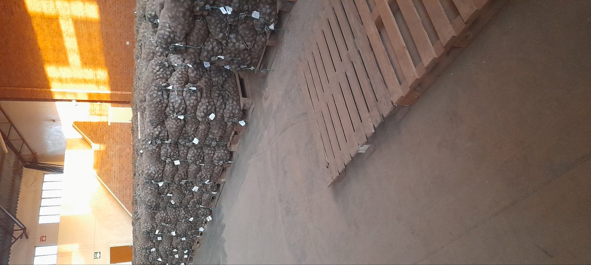 tubertek's tweet image. 