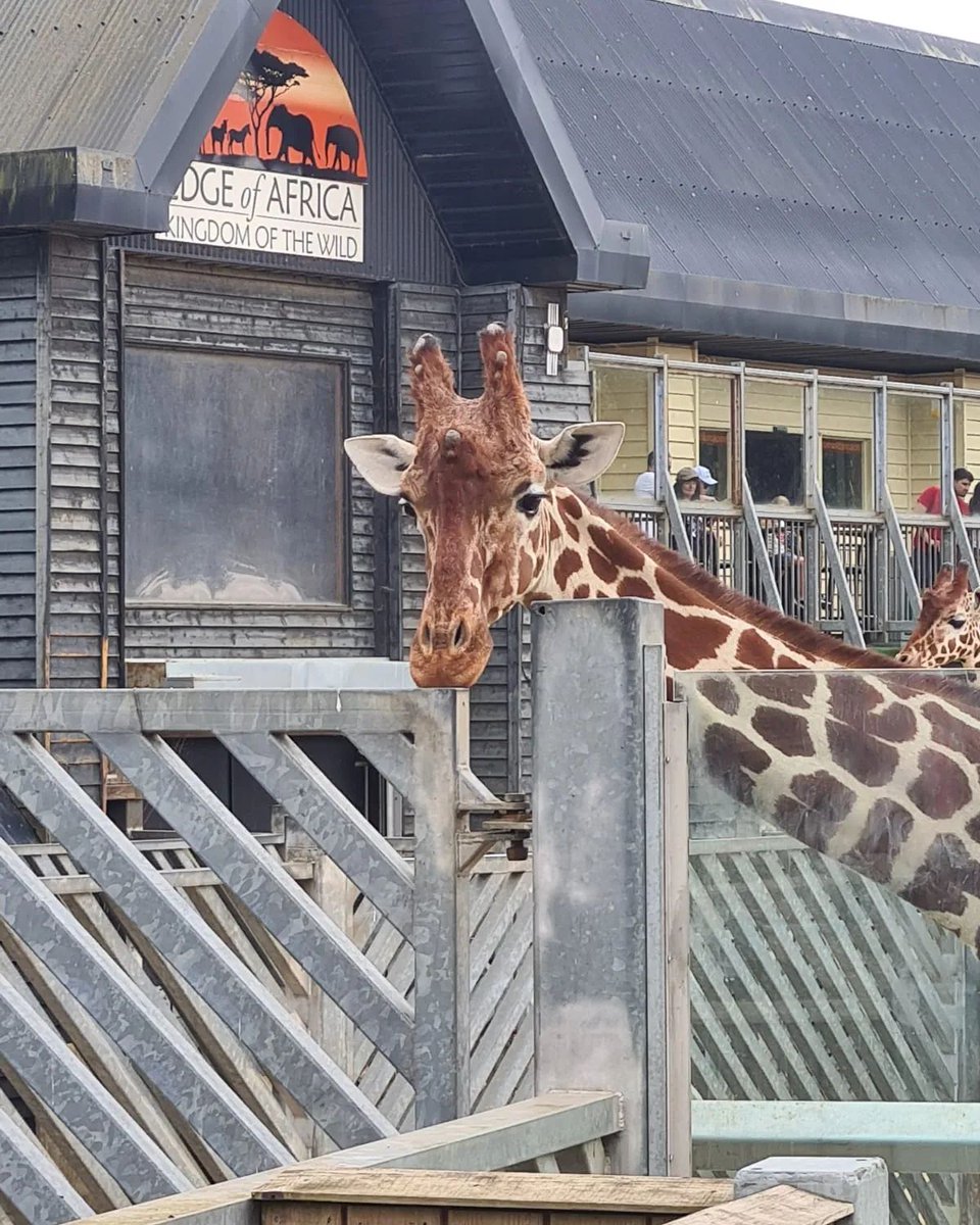 Winchmore Brickwork tweet media