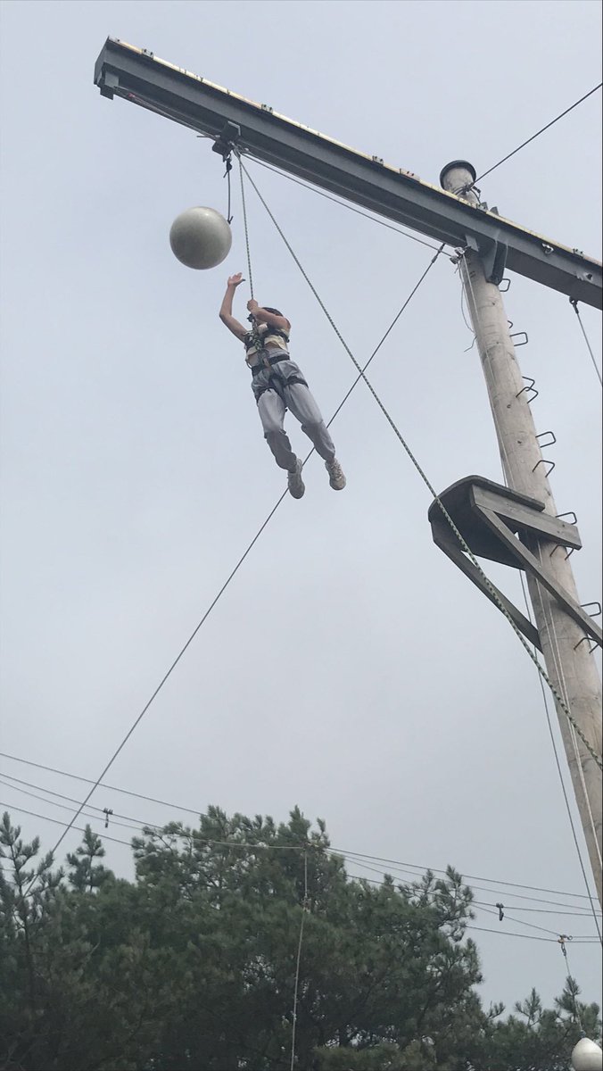 simon70burt's tweet photo. Mollie in flight! https://t.co/cvv70EGvJX