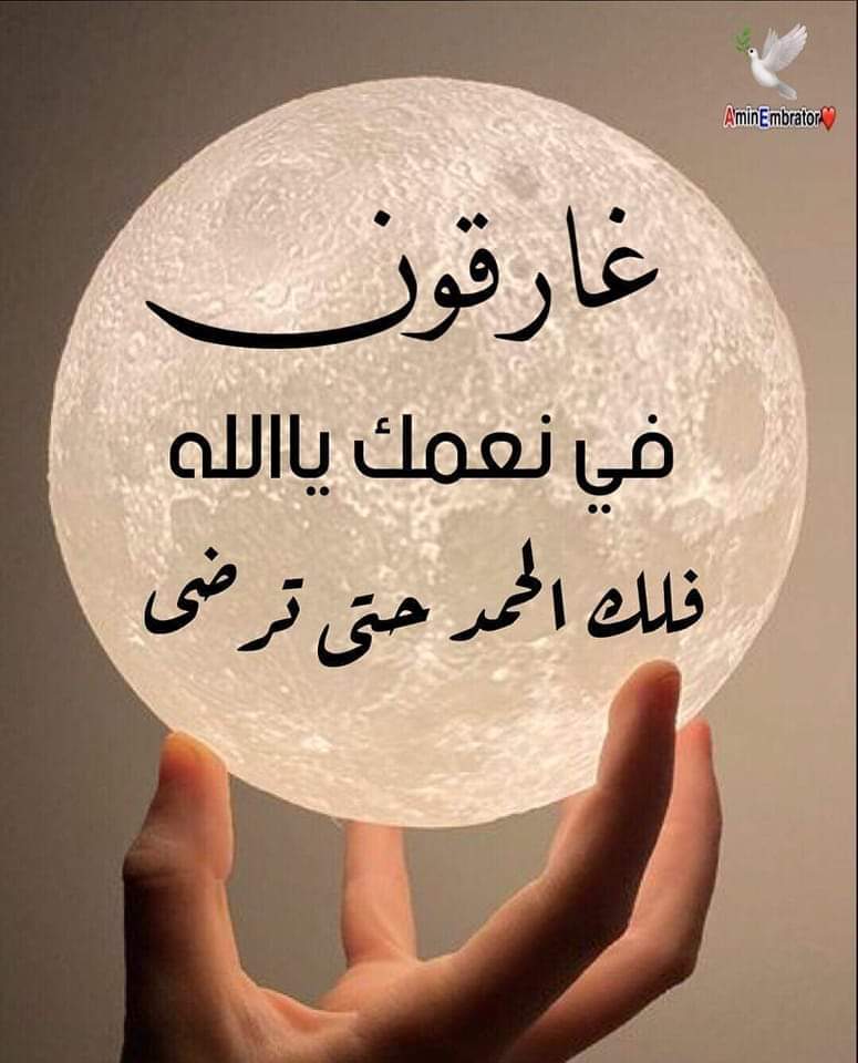 Mhmd fargaly22K👌 (@mhmdd1970) on Twitter photo 