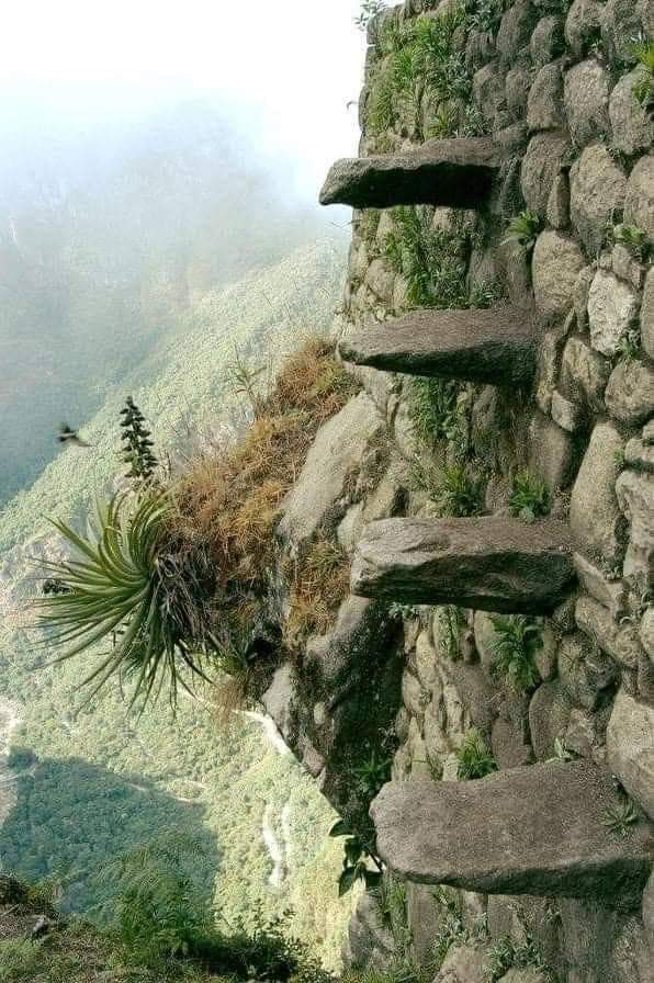 Huayna Picchu'nun zirvesinde bulunan 'ölüm merdivenleri' (M.S. 1500, Peru) #Sapiens #Arkeoloji #Tarih #Kultur #kesfet