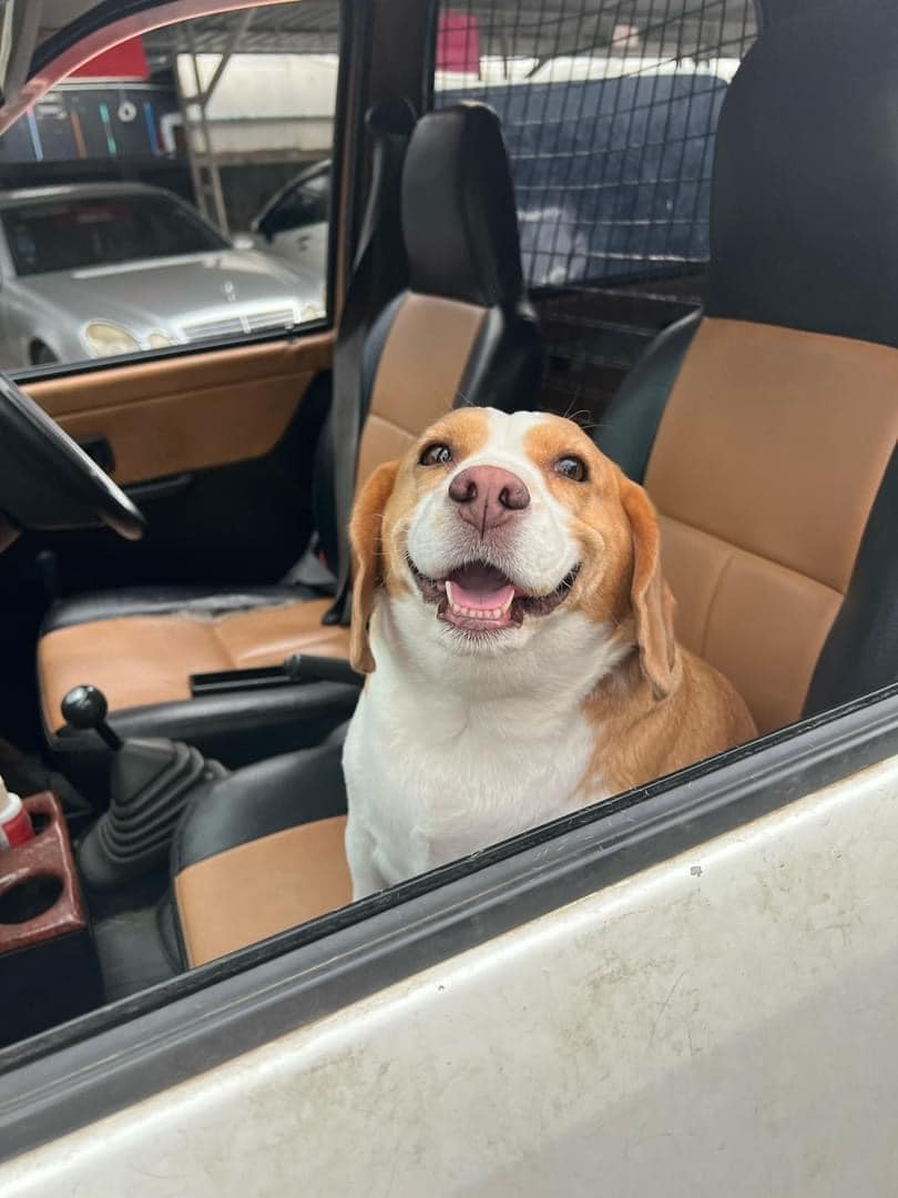 "I can't drive this thing by myself. Neither can @waymo or @Cruise. Let's pass AV regulation #AB316 in California."
- Captain Snuffles, Santa Monica