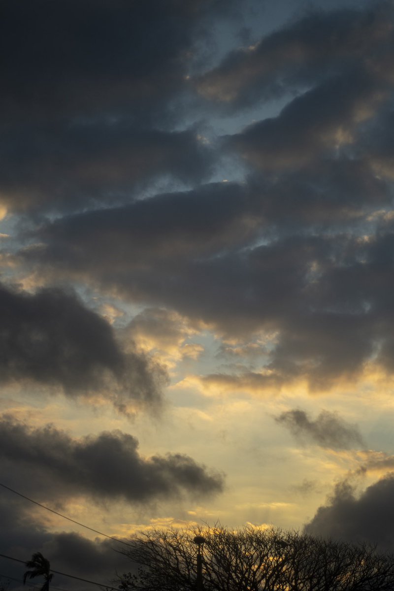 bustavo_'s tweet photo. 4 Nuevas fotos tamaño wallpaper para su celular. Tómense la libertad de guardar las imágenes y usarlas de protector de pantalla. 
1.- Querétaro [Atardecer en carretera]
2.- Veracruz    [Escolleras] 
3.- Boca del Río [Foto analógica]
4.- Juriquilla  [Atardecer]

#México #Análogo https://t.co/s5c1ldS9It