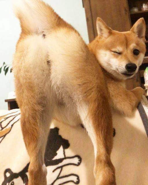 여러분 안녕하시어요... 사실 제가 흥미도가 많이 떨어져서 계정을 닫을까 합니다 열심히 달렸던 작년 한 해 여러분들 덕에 넘 행복한 기억들 많이 만들었어용 🥹 다들 늘 건강하시고 행복하시고... 언젠가 다시 돌아오게 된다면... 다시 만나용 계정을 폭파하거나 하진 않을게요! 잘 지내요 🍀